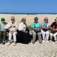 Almoço Convívio de encerramento de atividades