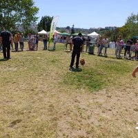 2ª Edição do Amadora Pet Market