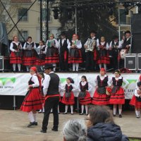 Festival das Sopas