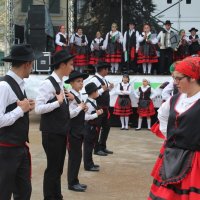 Festival das Sopas