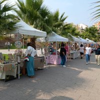 Amadora Pet Market